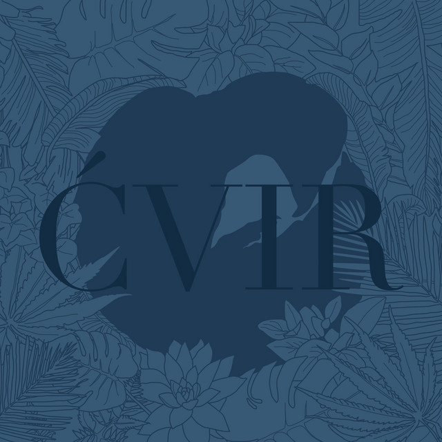 Adi Nowak / barvinsky – Ćvir