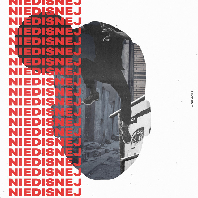 Praktis – Niedisnej