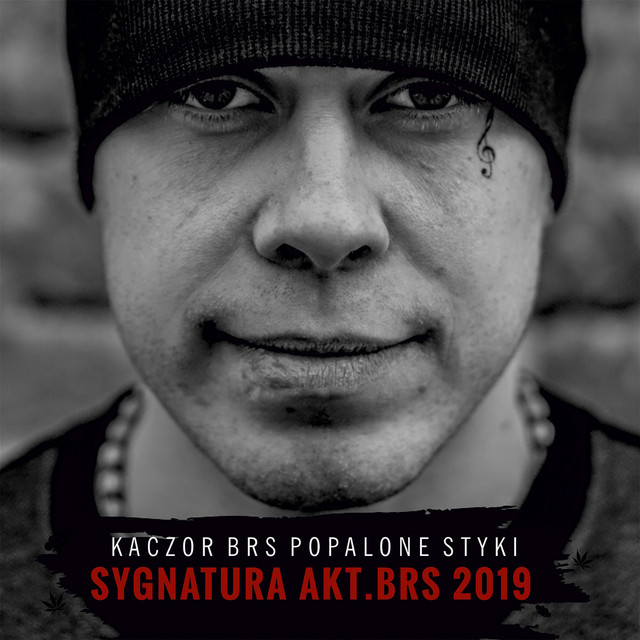 Kaczor BRS – Sygnatura Akt. BRS 2019