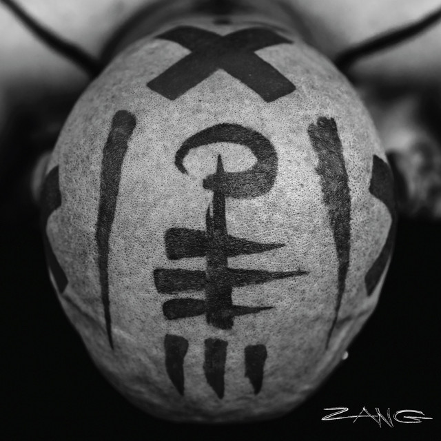 Glaca – Zang