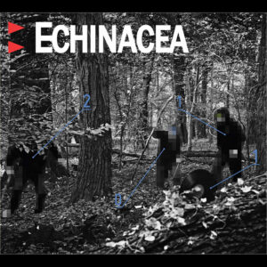 Echinacea – Echinacea