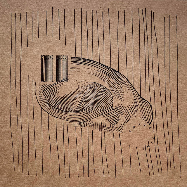 Inicjatywa – Czarne Kreski