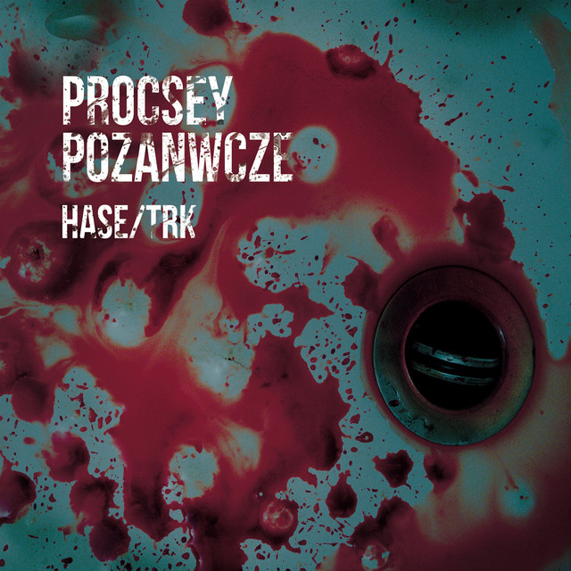 Hase – Procesy poznawcze