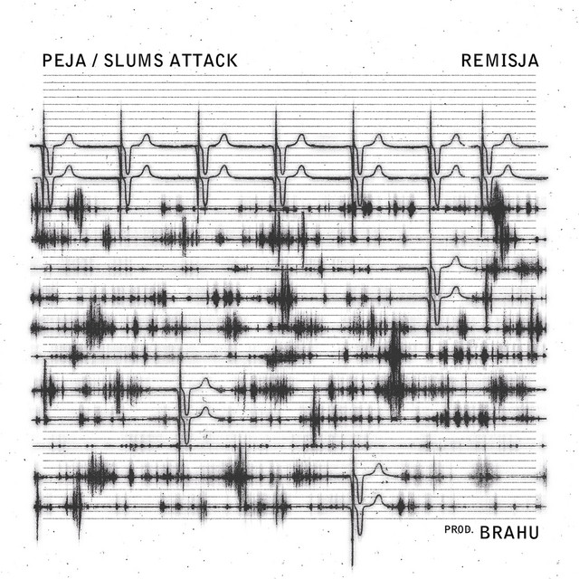 Slums Attack – Remisja